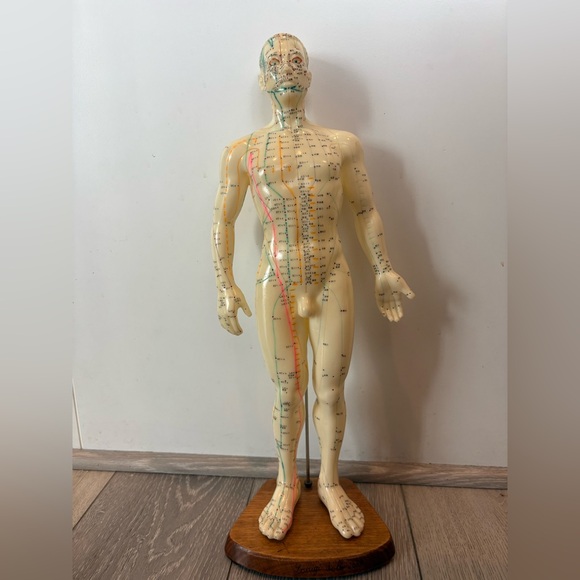 Professional Educational Acupuncture 19